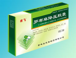 处方药与生化药品 科学管控下的健康守护者